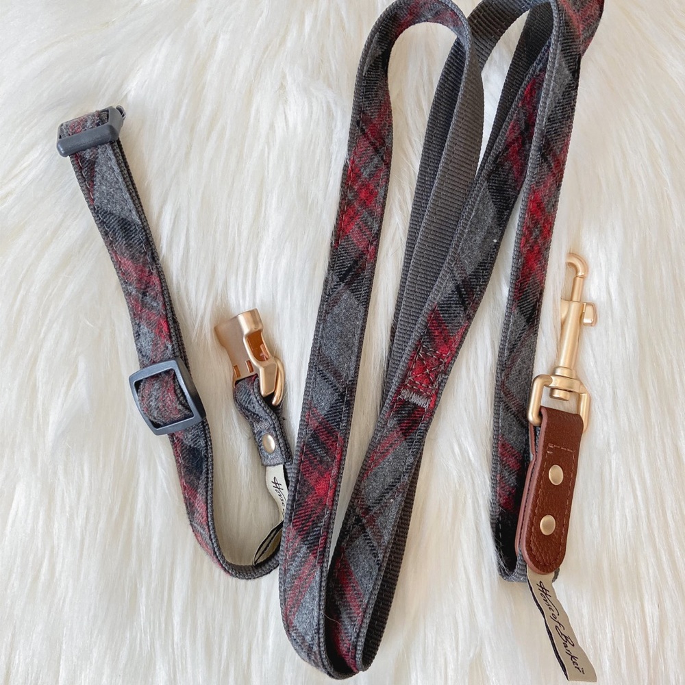 Dog Leash & Collar